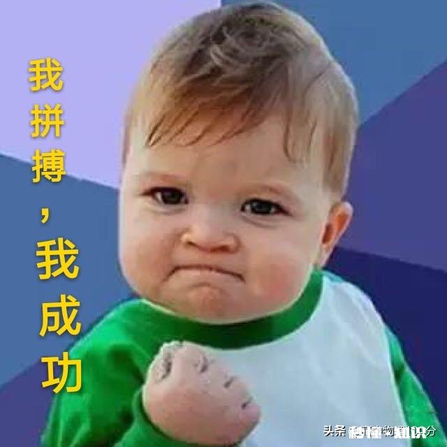 中考成绩已公布，平时孩子成绩都很好，这次却考砸了，该如何安慰