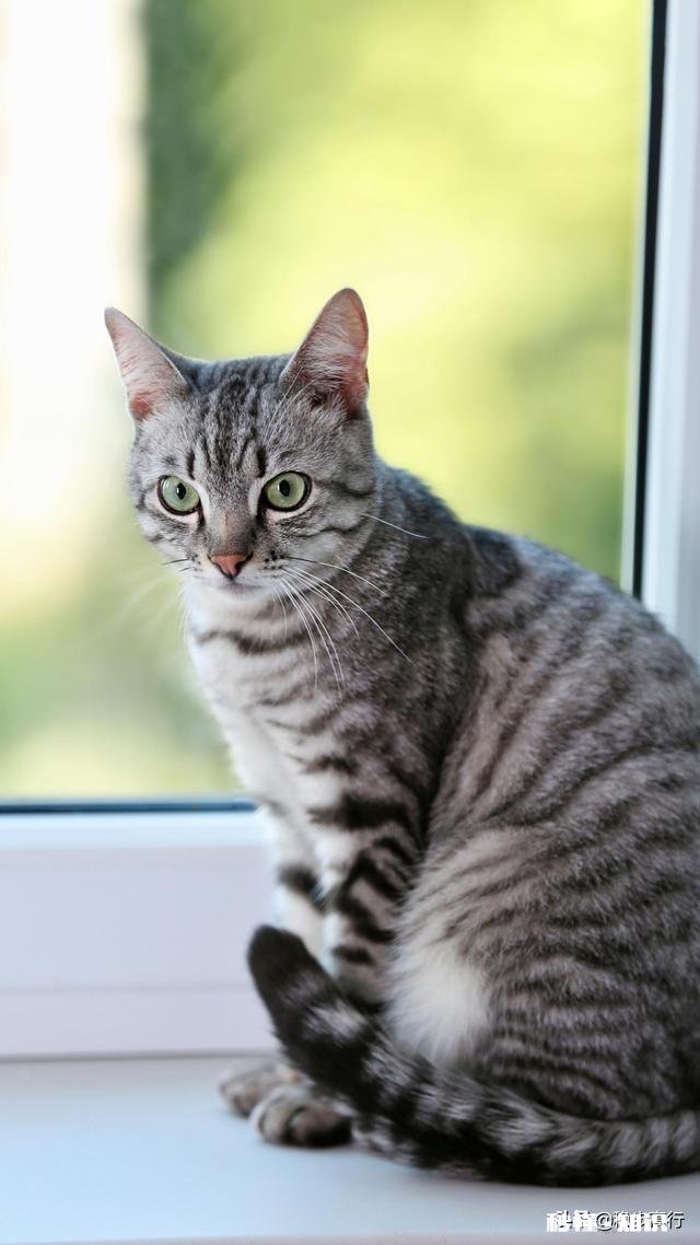 中考成绩已公布，平时孩子成绩都很好，这次却考砸了，该如何安慰