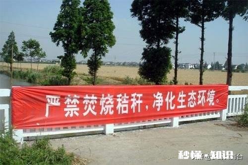 作为一个农民，你都收到过不允许做什么的通知