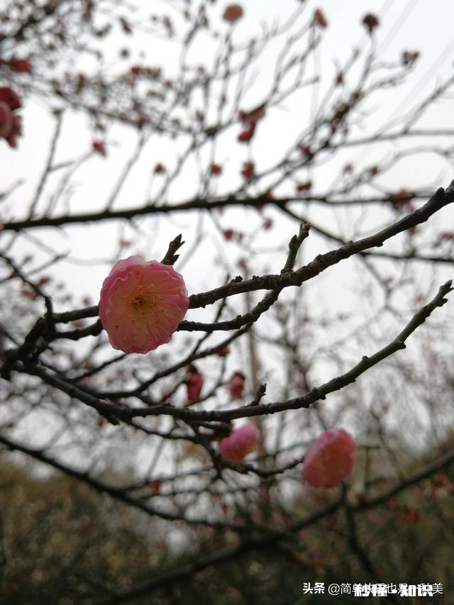 合肥应届生工资大概多少