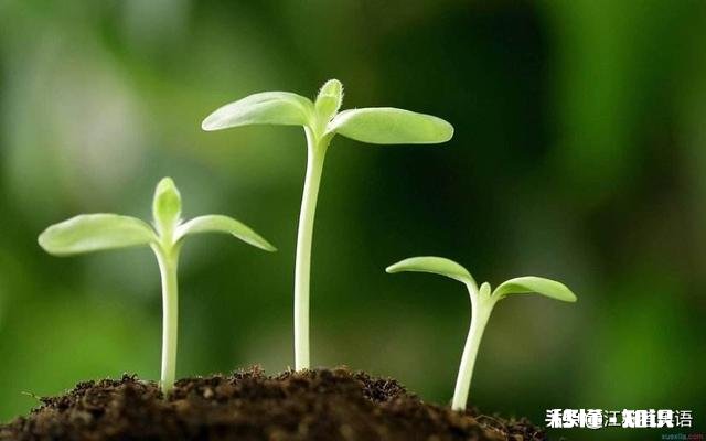 好好和孩子说他不听,非得连嚷带吼的才有效果。咋办啊