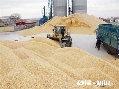 三月份水稻价格会上涨吗