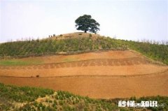 我户口在婆家，娘家土地确权了，婆家土地不给我确权，我该怎么办