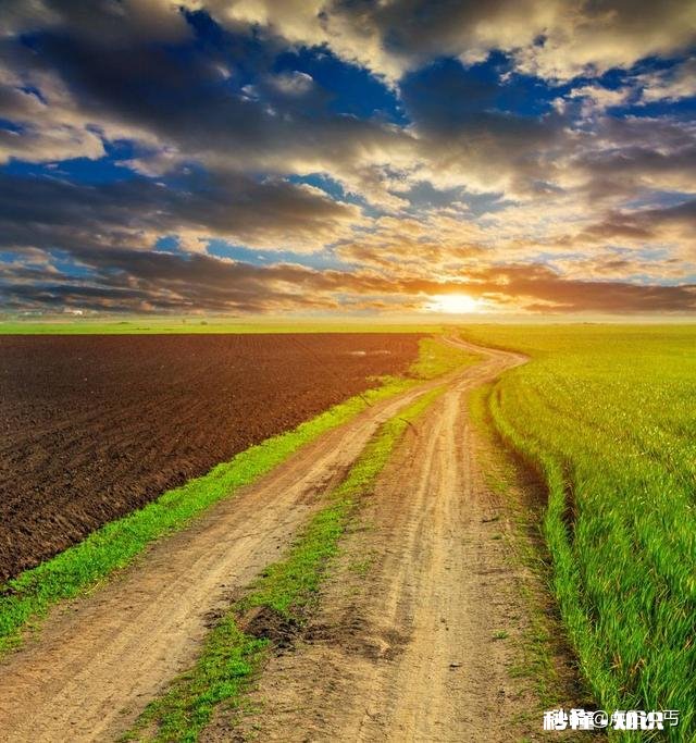 我户口在婆家，娘家土地确权了，婆家土地不给我确权，我该怎么办