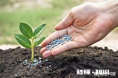 常年使用化肥，破坏了土壤，怎么办