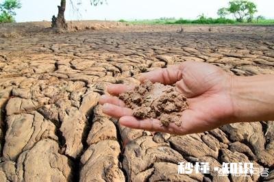 常年使用化肥，破坏了土壤，怎么办