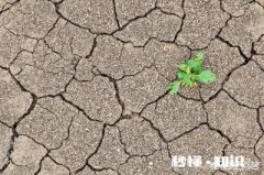 常年使用化肥，破坏了土壤，怎么办