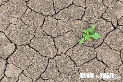 常年使用化肥，破坏了土壤，怎么办