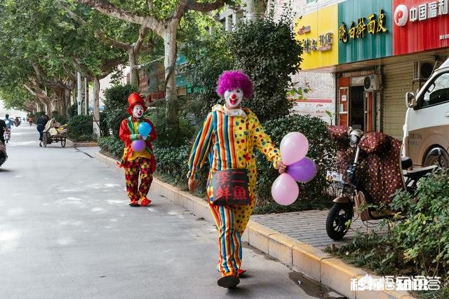 你摄影是靠技术还是靠审美