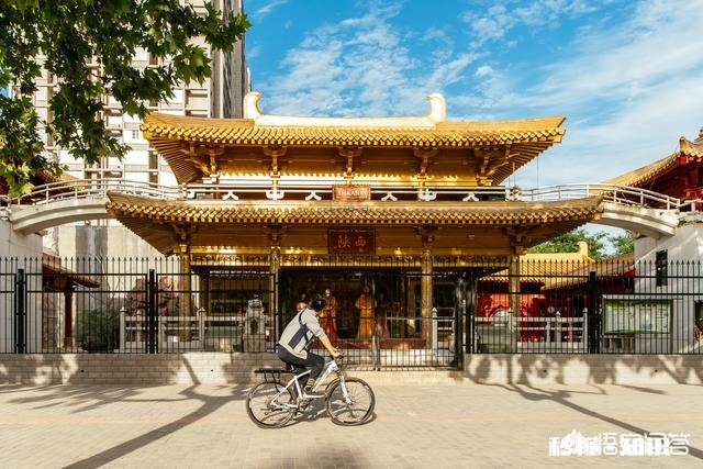 你摄影是靠技术还是靠审美