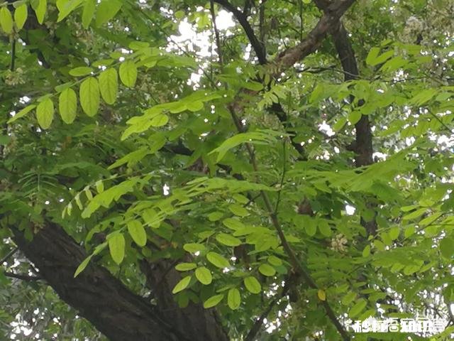 什么工作可以收入无上限，好好努力试试