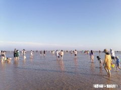 上海哪里有能看到大海又不偏僻的地方