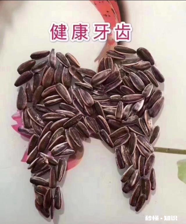 智齿离神经多远