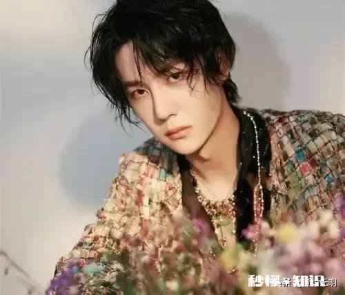 娱乐圈男明星，谁是你心目中的颜值天花板