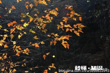 一个没文化没长相，十几年没有上过班的女人踏入社会能行吗为什么