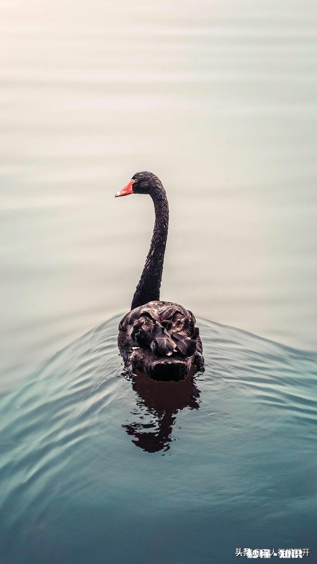 防溺水安全应该从哪做起
