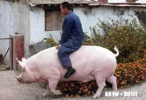 如果你变成了你心里讨厌的人，你会怎么做