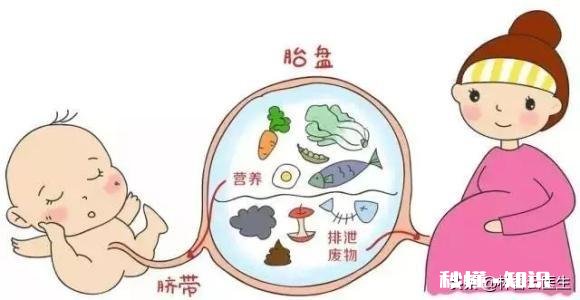 新生儿4斤多有危险吗