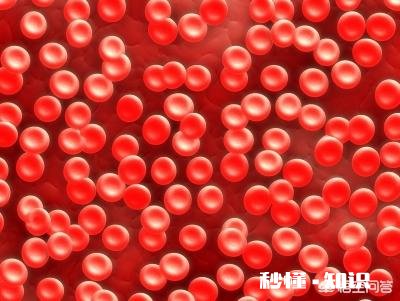 为什么献血都是无偿献血，输血却要收费