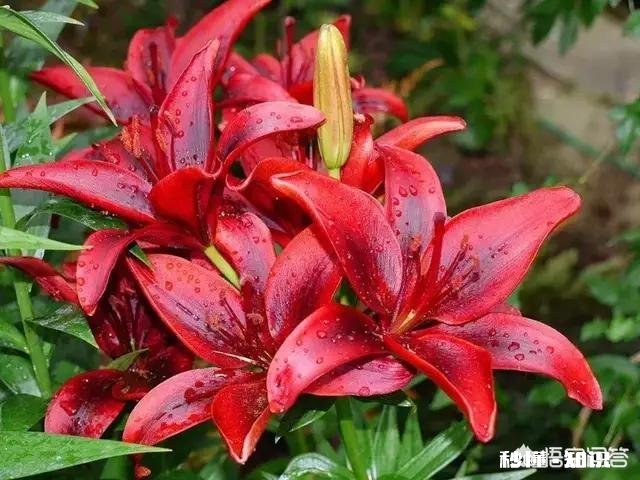 同事把孩子带来办公室，孩子十分吵闹影响其他人正常工作、休息，你如何看待这样的同事