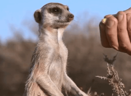 同事把孩子带来办公室，孩子十分吵闹影响其他人正常工作、休息，你如何看待这样的同事