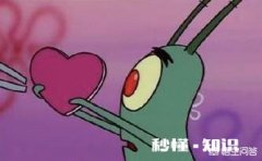 小学阶段读书多好还是读书少比较好