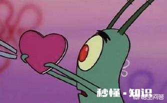 小学阶段读书多好还是读书少比较好