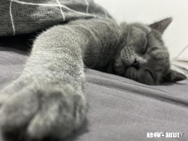 20岁了，坚持打篮球和田径，目前186，还能长高吗