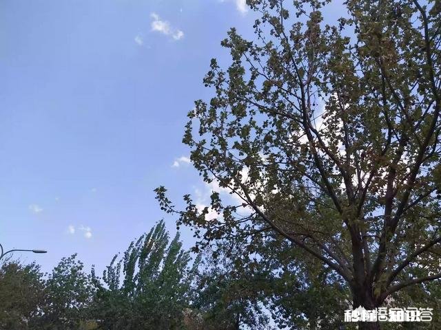 男友欺骗我，我该分手吗