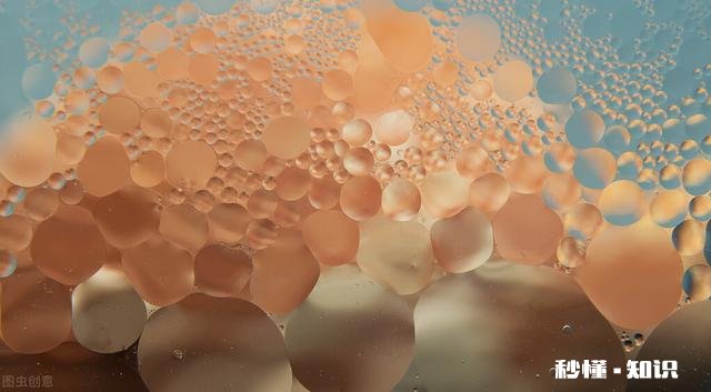 如果把咸水鱼放在淡水中会发生什么