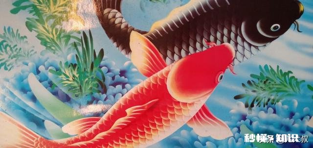 如果把咸水鱼放在淡水中会发生什么