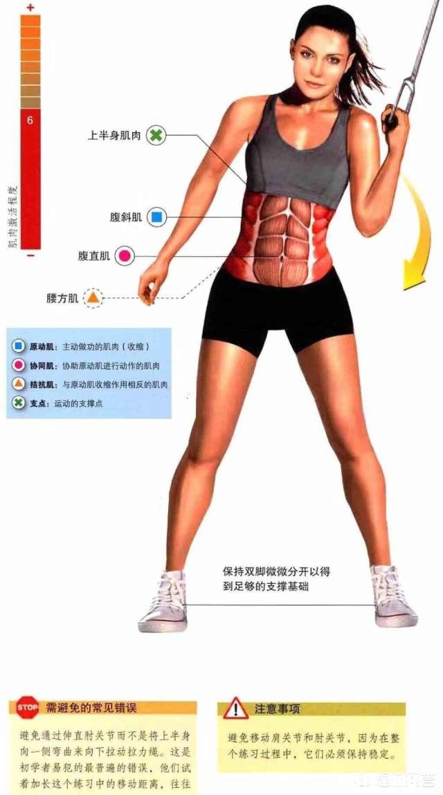 在健身房怎么练出马甲线