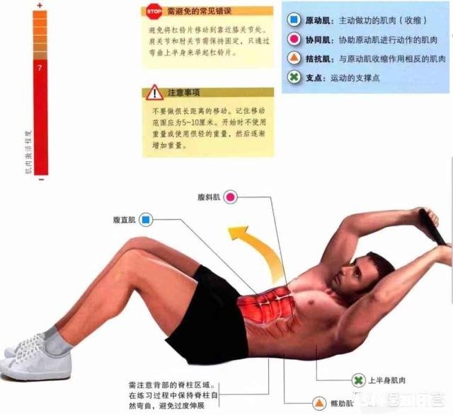 在健身房怎么练出马甲线