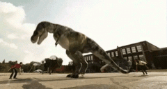 网络赌博被诈骗，怎么处理合适