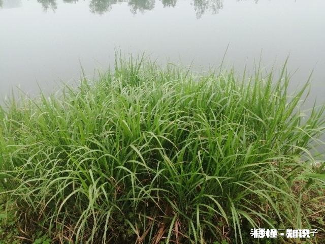 生活很苦，只想尽量过好每一天，不想想的太长远，这有错吗