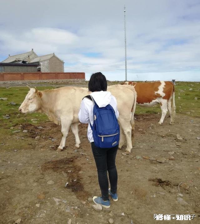 生活很苦，只想尽量过好每一天，不想想的太长远，这有错吗