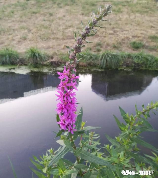 生活很苦，只想尽量过好每一天，不想想的太长远，这有错吗