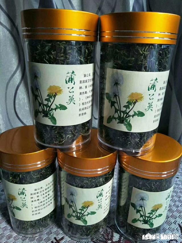 哪里有卖蒲公英的