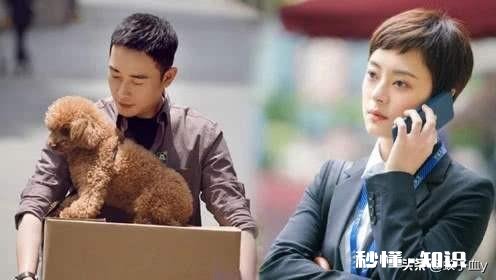 电视剧《安家》中你最喜欢的角色是谁能说说原因吗