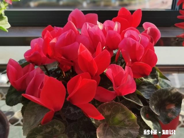 快过年了，愁小孩红包该不该城减少