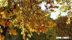 如何有效解决从而让人不再懒惰成性