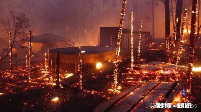 澳大利亚为什么个人感觉很容易发生火灾