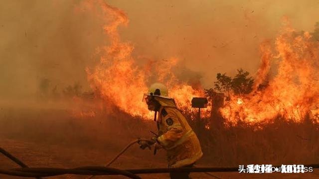 澳大利亚为什么个人感觉很容易发生火灾