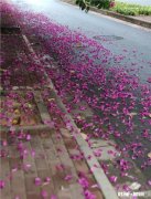 女人不拉老公进她娘家微信群，还退出婆家微信群，请问是什么心理