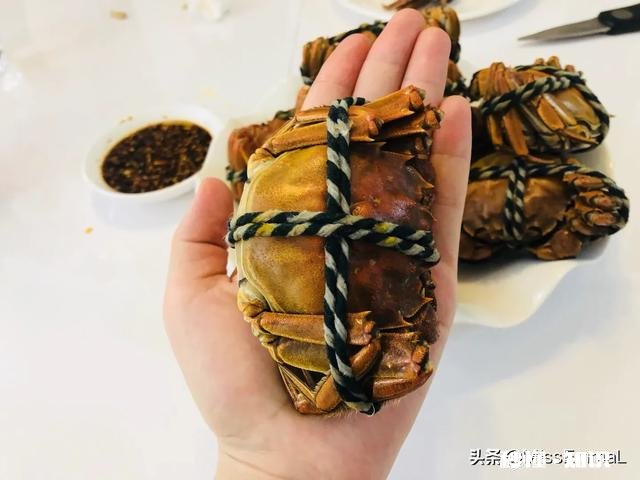 大闸蟹要泡多久如何做