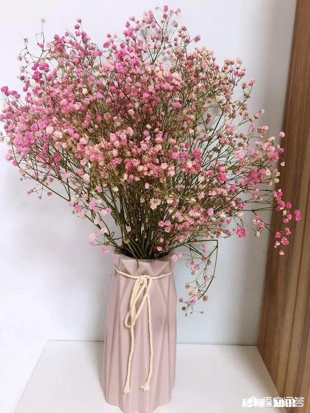 《都挺好》实则是反映“房地产现实”的一部剧，到底该如何买房