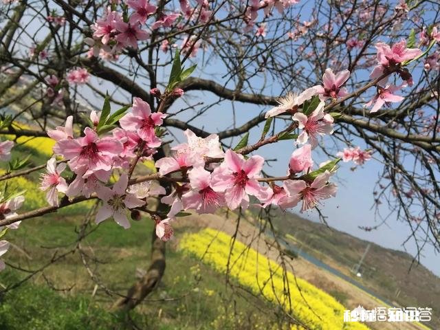 一天给你1000块钱，你最想干什么