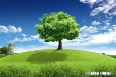 刚注册头条，教师一枚，选哪一方面做垂直领域