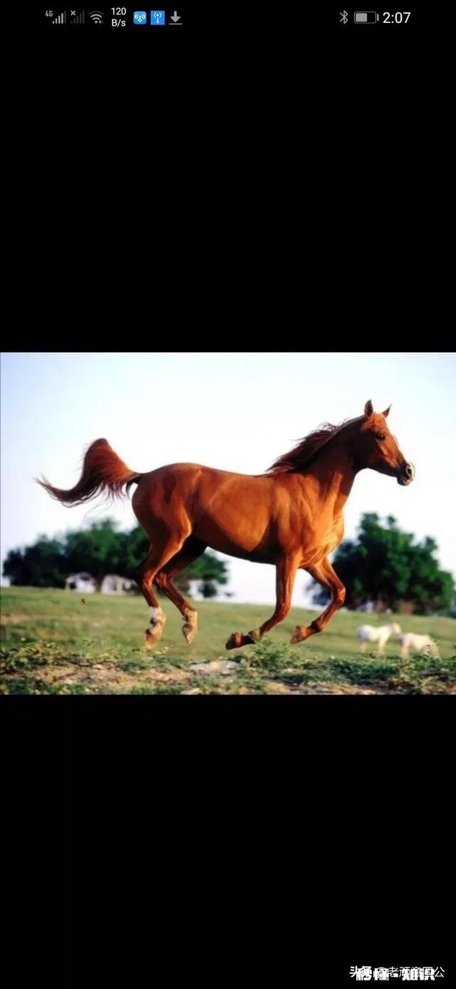 为什么在家很听话的孩子，到了学校却成了“问题学生”