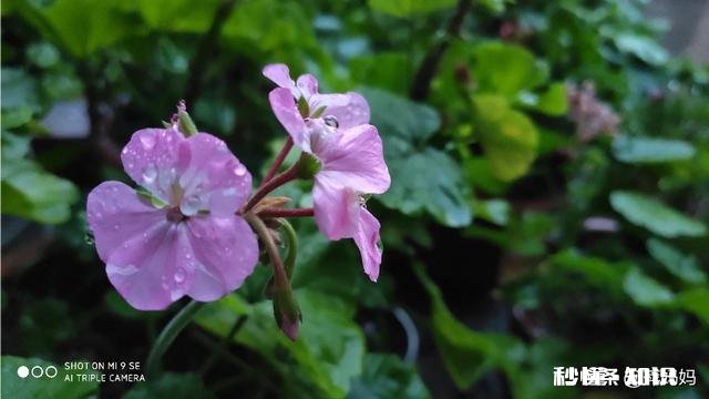 如果十年之后再见前任是何场景分享下